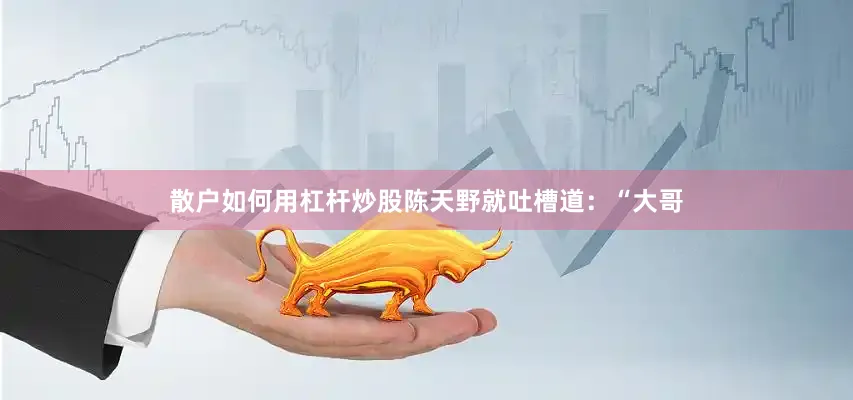 散户如何用杠杆炒股陈天野就吐槽道：“大哥