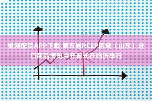 巢网配资APP下载 第五届RCEP区域（山东）进口商品博览会开幕式在临沂举行