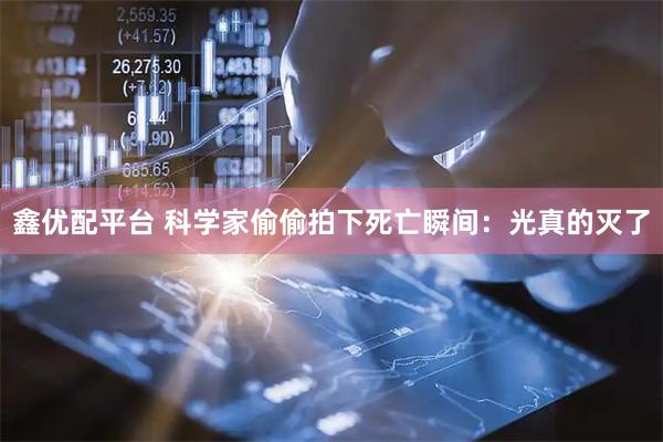 鑫优配平台 科学家偷偷拍下死亡瞬间：光真的灭了